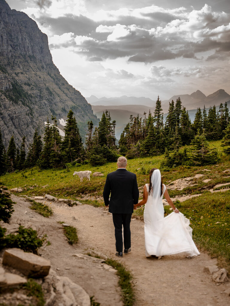 Weddings and Elopements in Montana